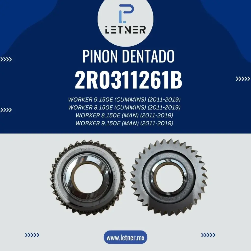 PINON DENTADO