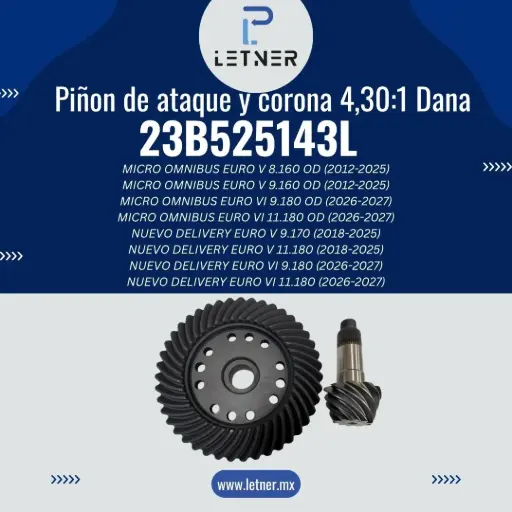 PINON ATAQUE Y CORONA