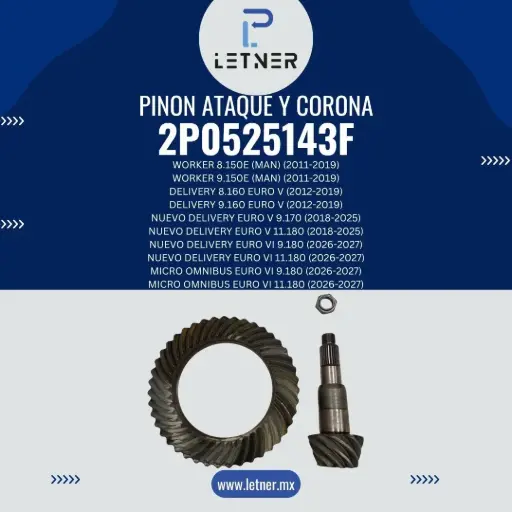 PINON ATAQUE Y CORONA
